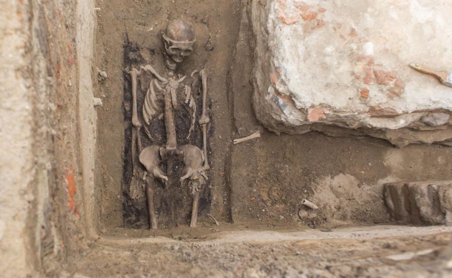 Imię Egipskiego Władcy Którego Grobowiec Został Odkryty W 1922 Roku Zdjęcia: W Poznaniu znaleziono szkielet z XVII w. ze śladami trepanacji